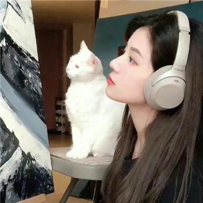追蝶